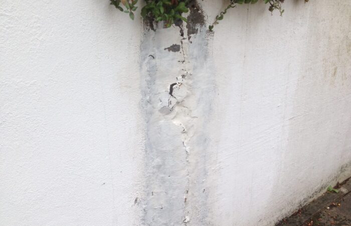 Possible damp - Structural Inspection